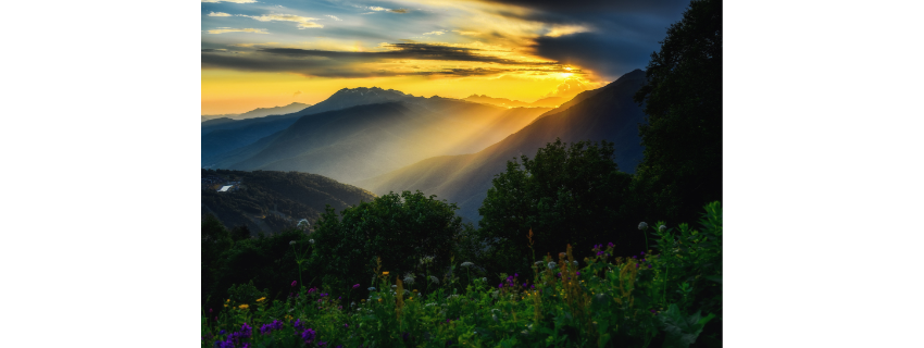自己紹介　その７『とある養蜂家との出会い』