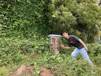 ばあちゃん１００歳の大往生！ばあちゃんの畑とミツバチと私。