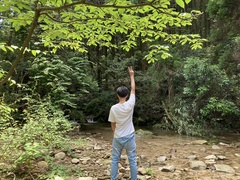 リラックスショートヒプノセラピー